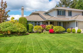 Lawn Care and Home