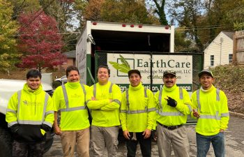 EarthCare Landscape Management Leaf Cleanup