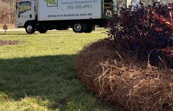 EarthCare Landscape Management Pine Straw
