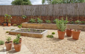 Vegetable garden with raised beds.