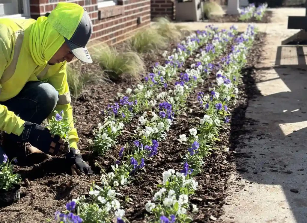 landscaping